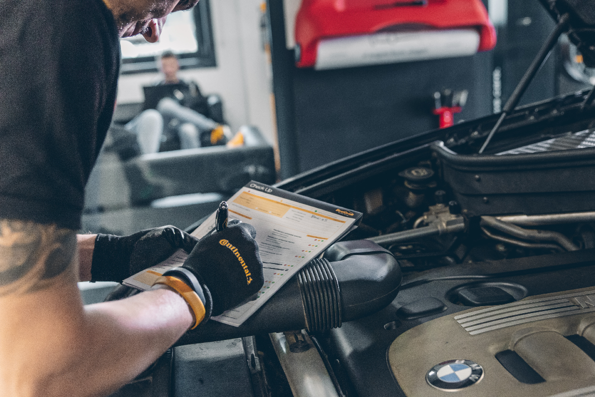 tagliando auto moto furgoni siniscola